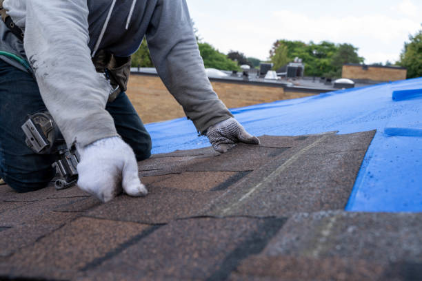 Best Storm Damage Roof Repair  in Auburn, IL